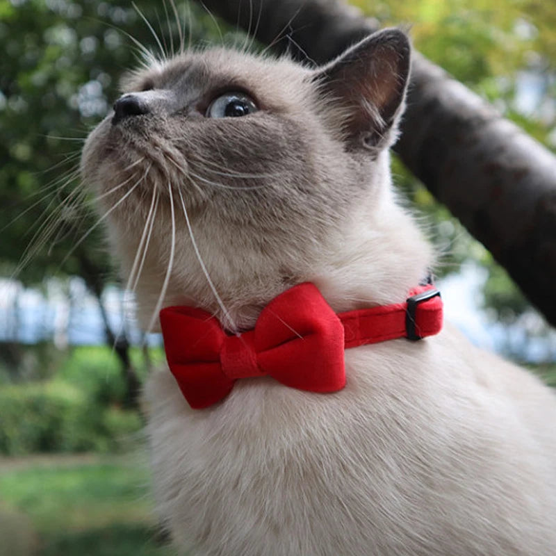 Velvet Cat Collar with Bowknot and Bell