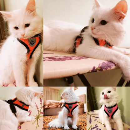 Adjustable Mesh Cat Harness Vest
