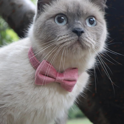 Velvet Cat Collar with Bowknot and Bell