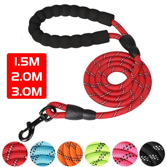 Strong Dog Leash