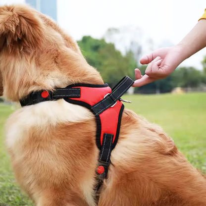 Reflective Adjustable Dog Harness