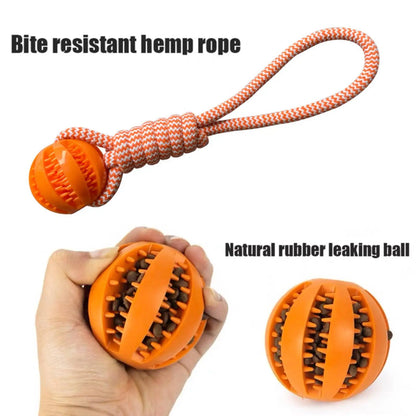 Interactive Dog Treat Balls