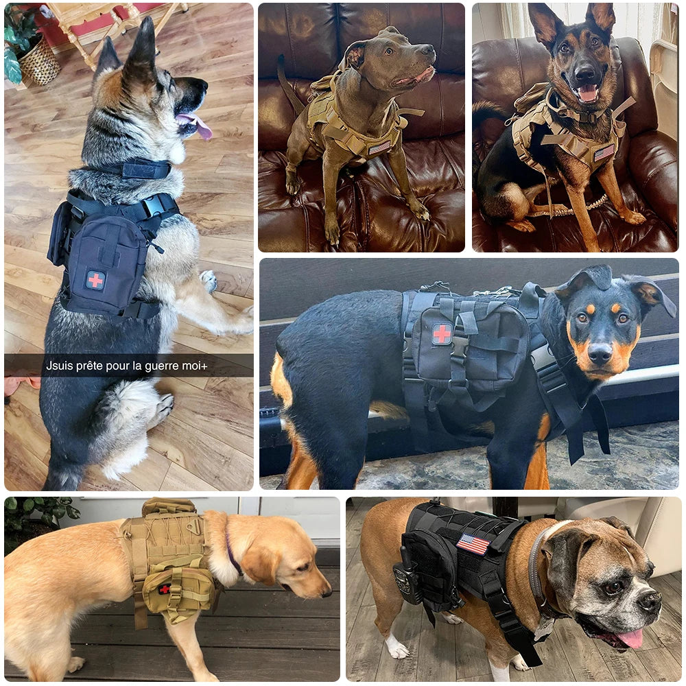 Tactical Dog Training Harness