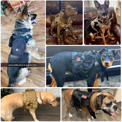 Tactical Dog Training Harness