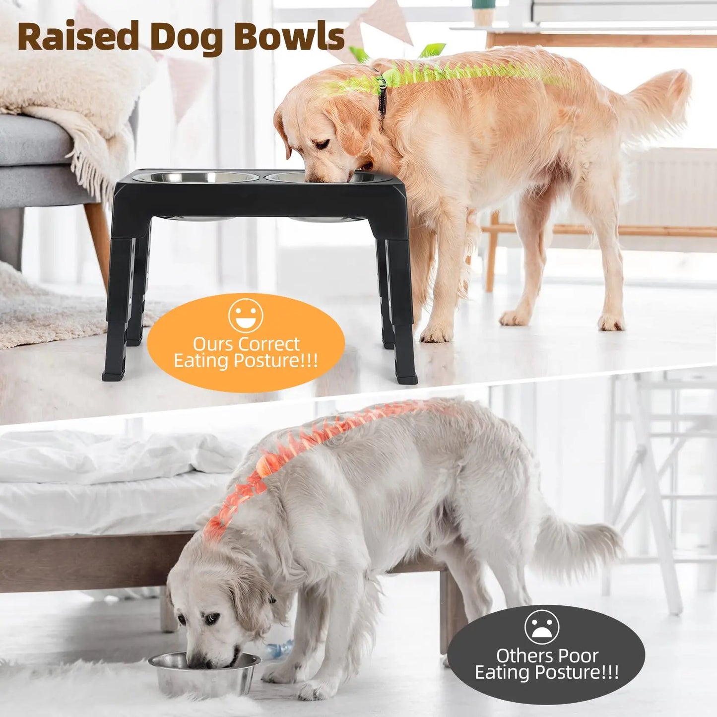 Adjustable Elevated Dog Feeder